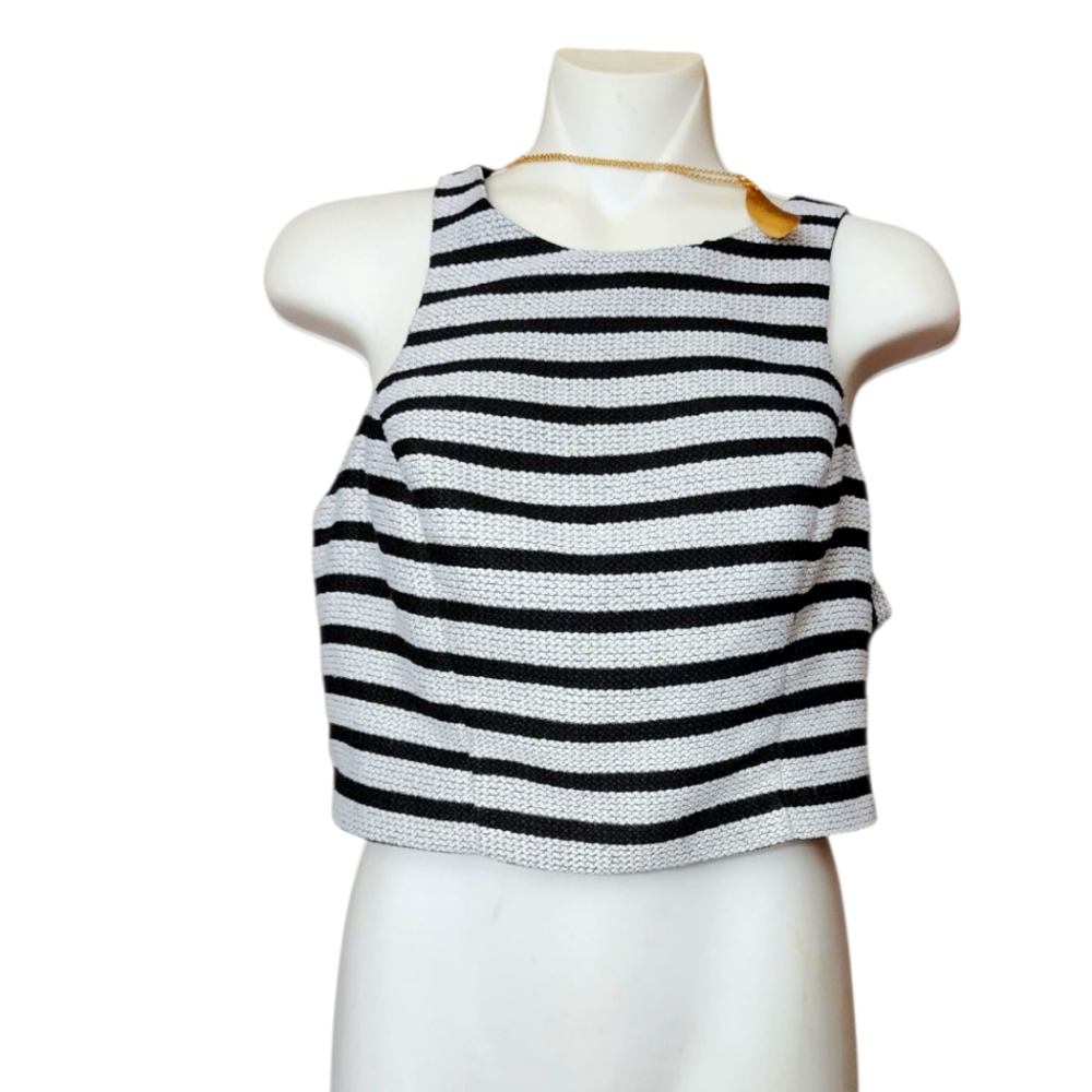 Express Crop Top Black and White Striped Women's Top